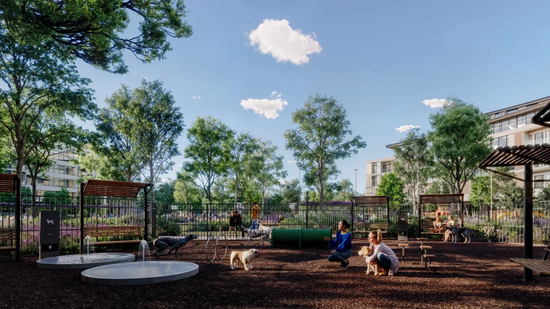 am-bien-dogpark_result