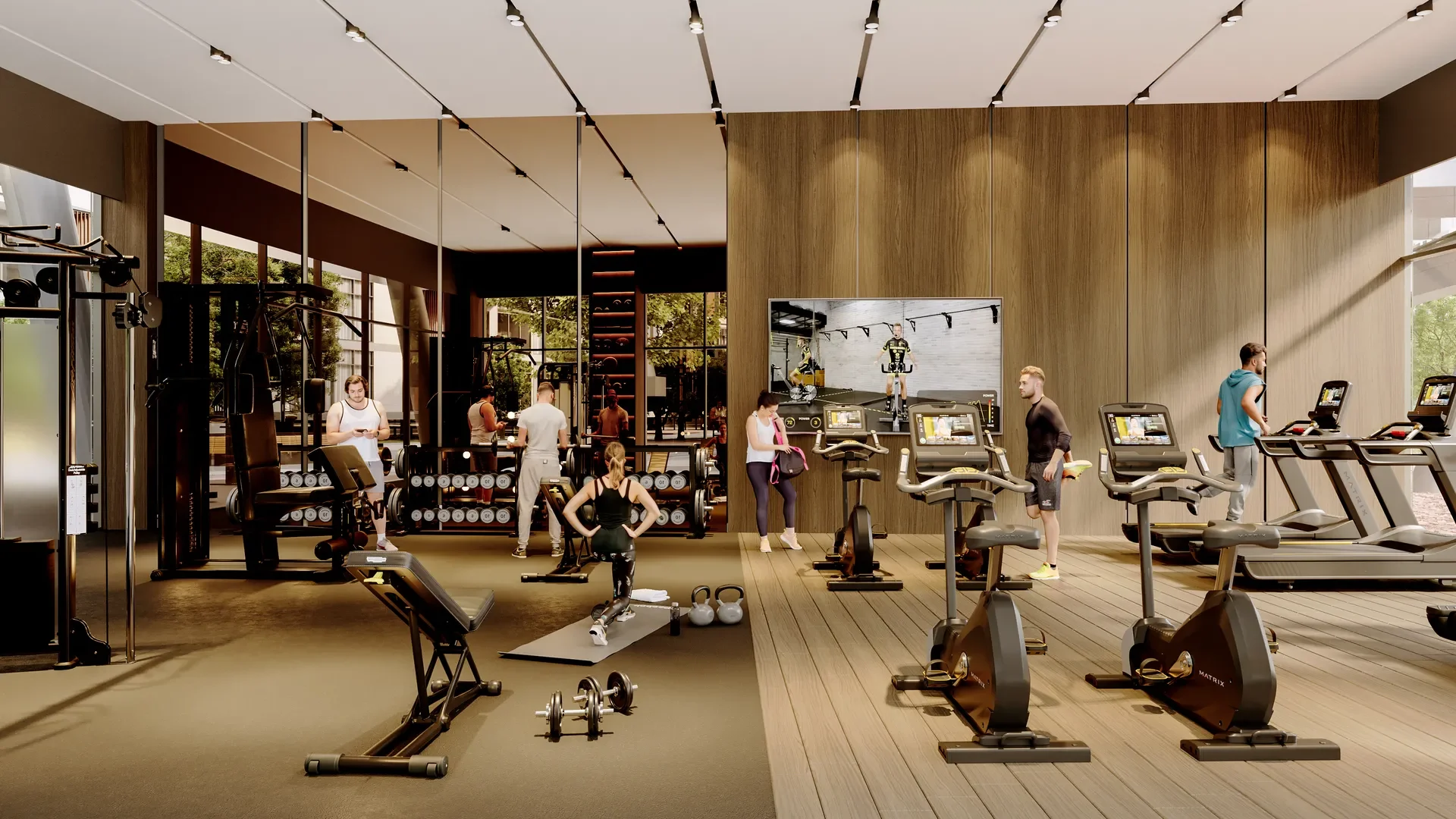 am-bien-gimnasio-interior_result